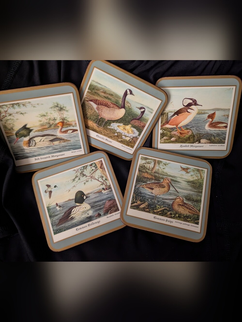 Pimpernel Flora Japonica RHS Coasters Set 5 Boxed Vintage England Water Birds